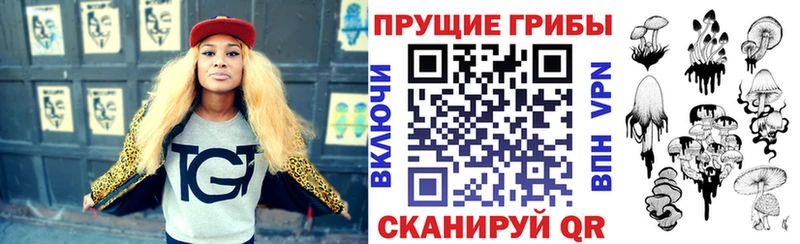 Галлюциногенные грибы GOLDEN TEACHER  Купить закладки  Грязовец 