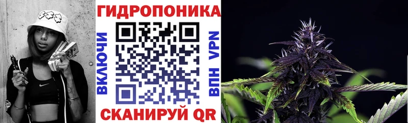 Бошки Шишки MAZAR  Купить закладки  Грязовец 